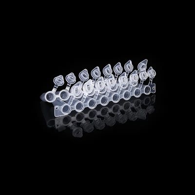 Koepelvormige Kappen0.2ml PCR Buis 8 Strook met GLB-PCR In bijlage Acht sloot Pijp aan